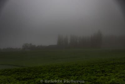 Photo de la journée