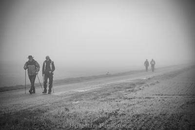 Photo de la journée