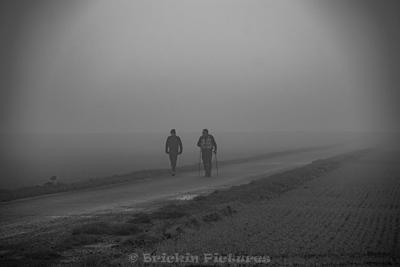 Photo de la journée