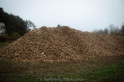 Photo de la journée