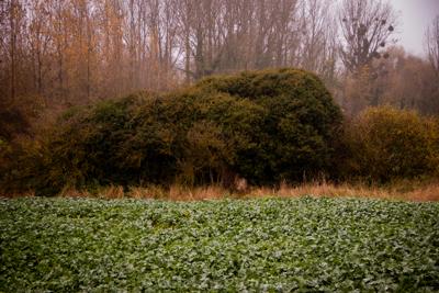 Photo de la journée