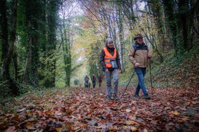 Photo de la journée