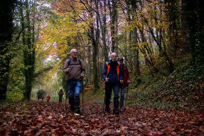 Photo de la journée