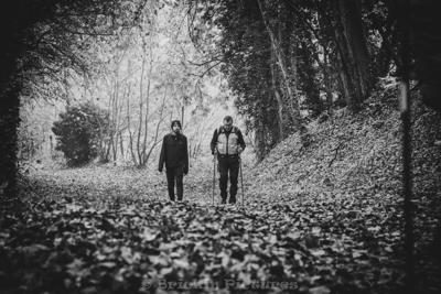 Photo de la journée