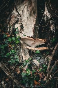 Photo de la journée