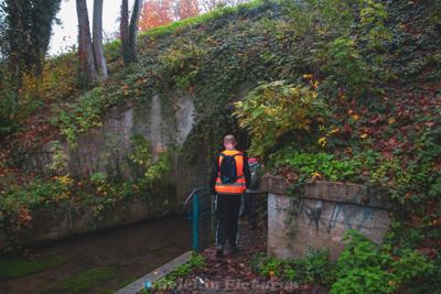 Photo de la journée