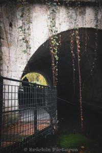 Photo de la journée