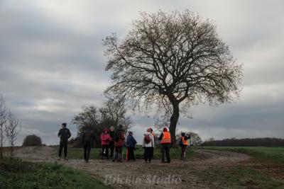 Photo de la journée