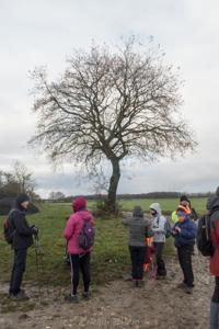 Photo de la journée