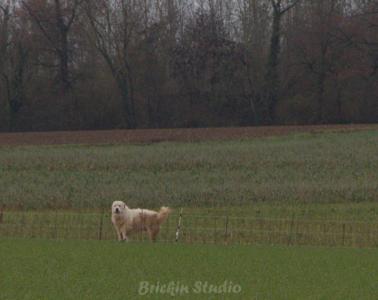 Photo de la journée