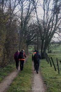 Photo de la journée