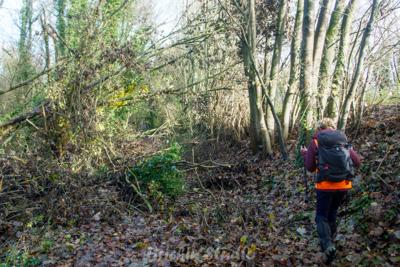 Photo de la journée