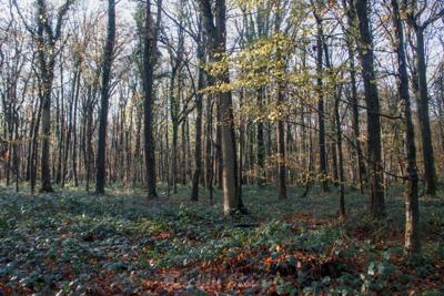 Photo de la journée