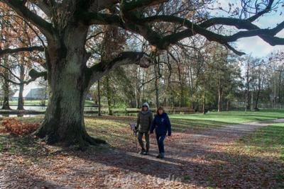Photo de la journée