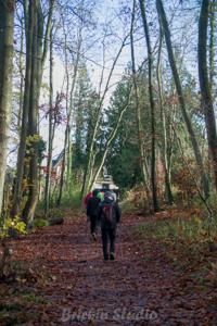 Photo de la journée