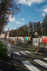 Photo de la journée