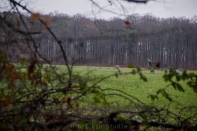 Photo de la journée