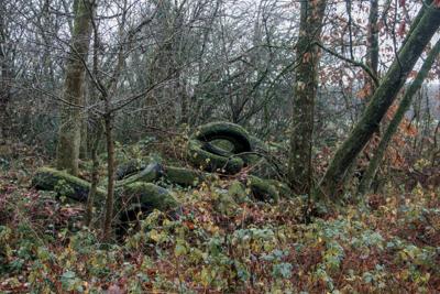 Photo de la journée