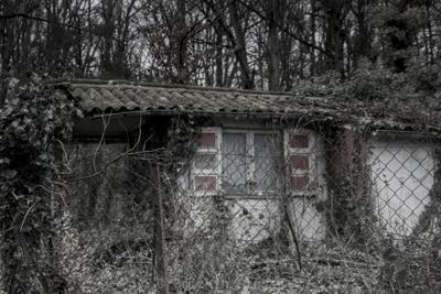 Photo de la journée