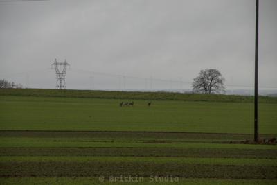 Photo de la journée