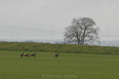 Photo de la journée