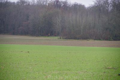 Photo de la journée