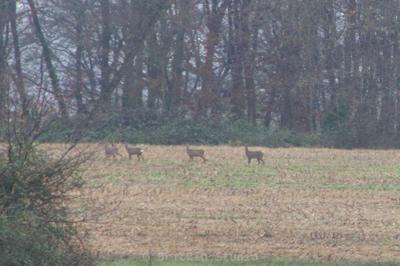 Photo de la journée