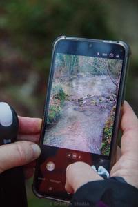 Photo de la journée