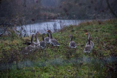 Photo de la journée