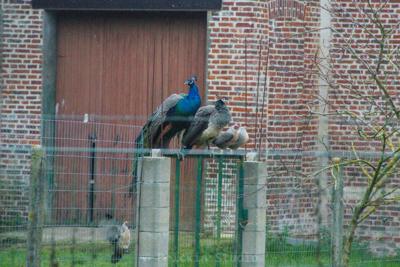 Photo de la journée