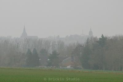 Photo de la journée