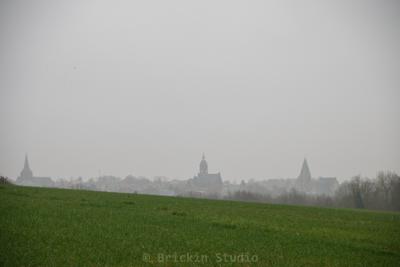 Photo de la journée