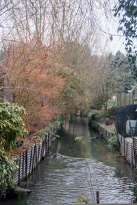 Photo de la journée