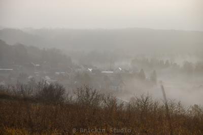 Photo de la journée