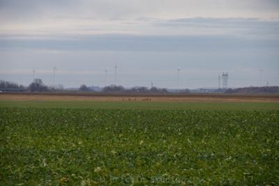 Photo de la journée