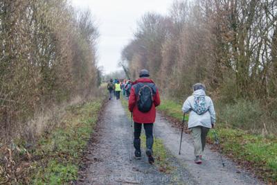 Photo de la journée