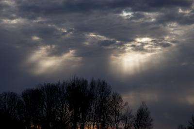 Photo de la journée