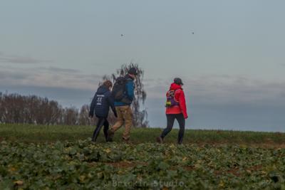 Photo de la journée
