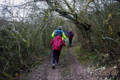 Photo de la journée