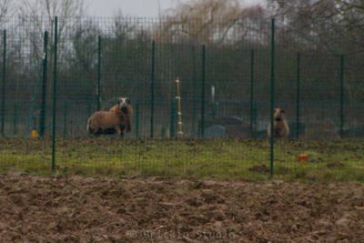 Photo de la journée