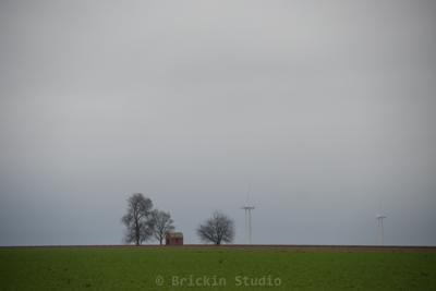 Photo de la journée