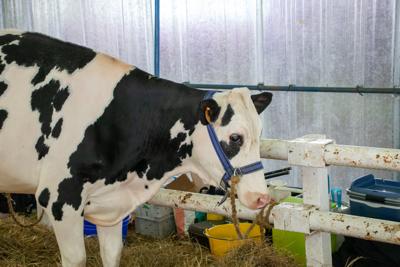 Photo du Baptême