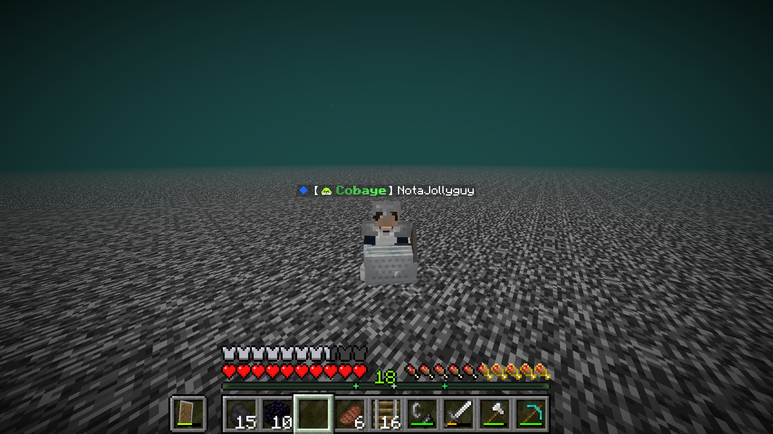 NotaJollyRoger qui voyage à l'infini dans le nether