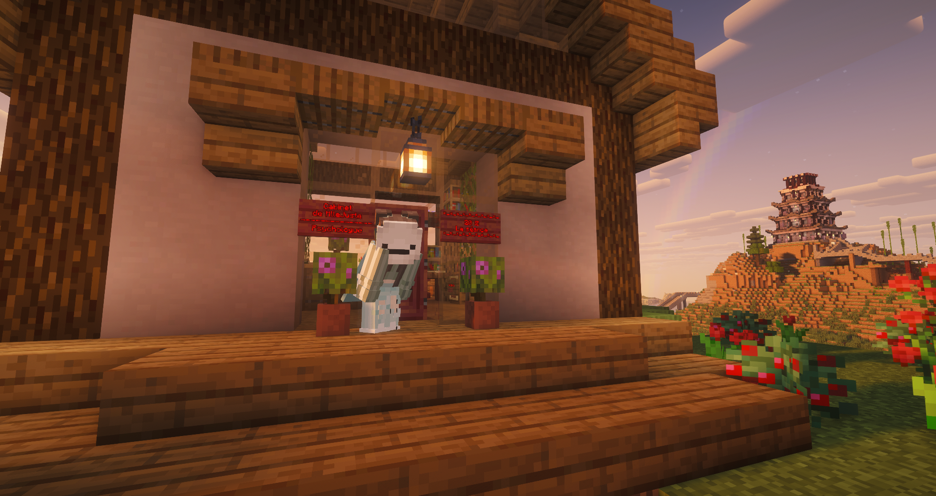 Le cabinet de psychologie au spawn