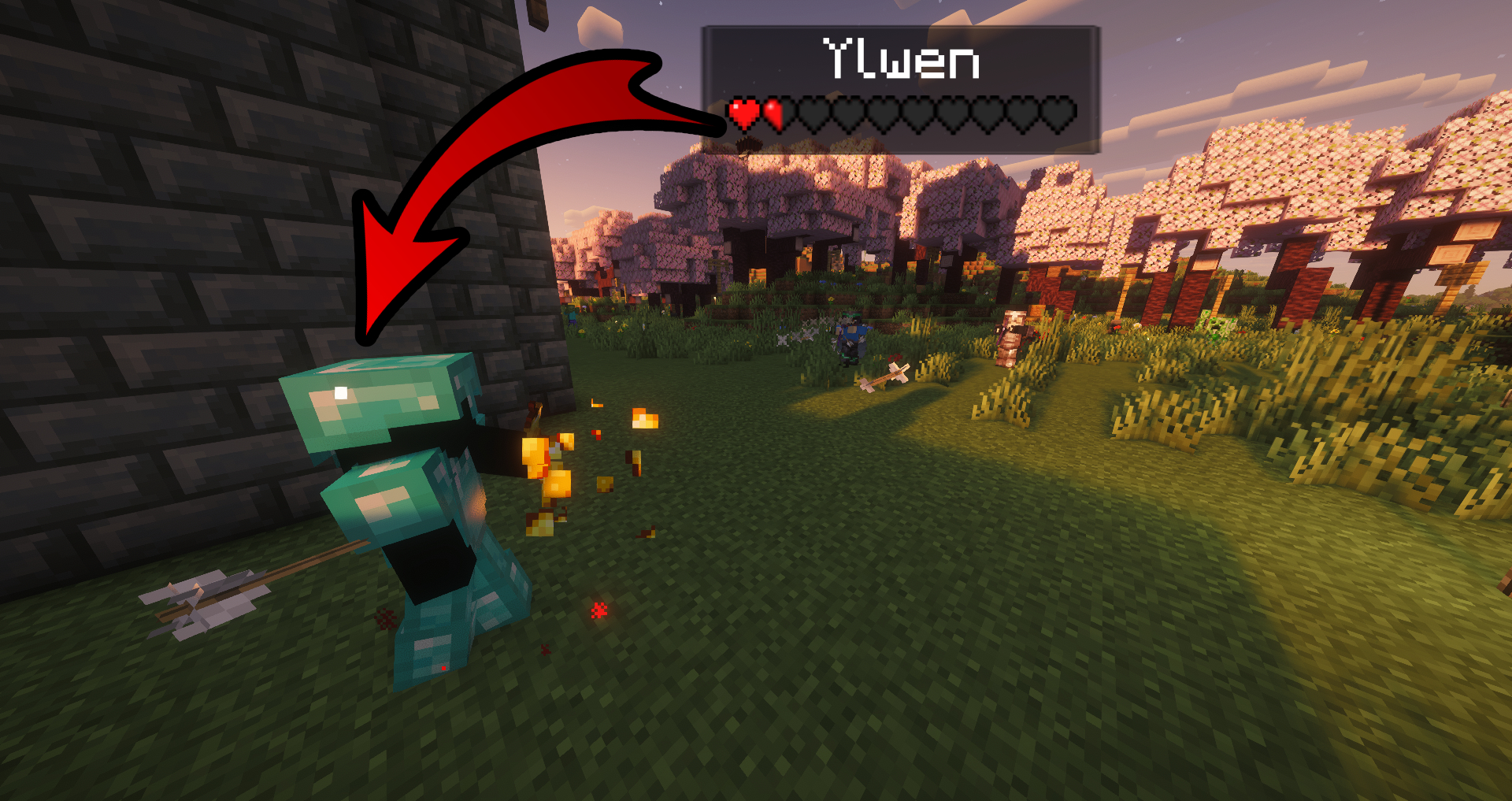 Les Anciens attaquent Ylwen