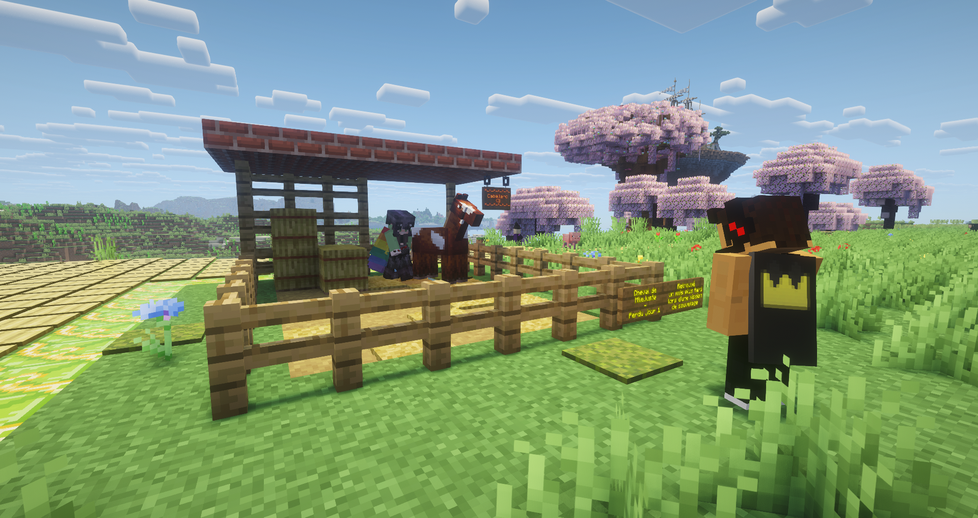 Cheval MlleJuste