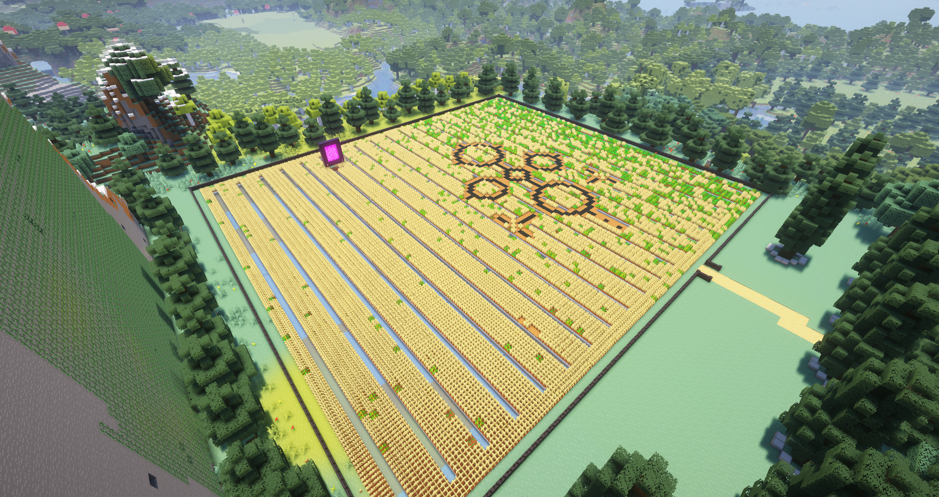 Champs près de la base 2 de Chewie