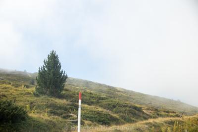 Photo du séjour
