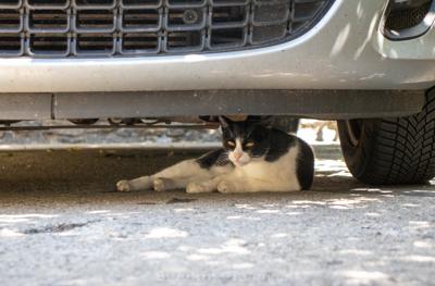 Photo du séjour
