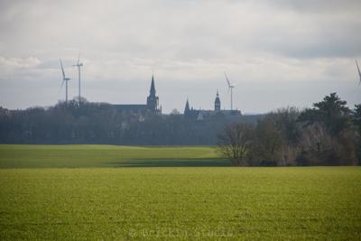 Photo de la journée